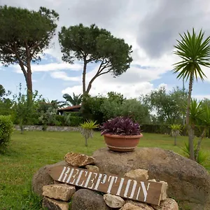 Le Mimose Lacona